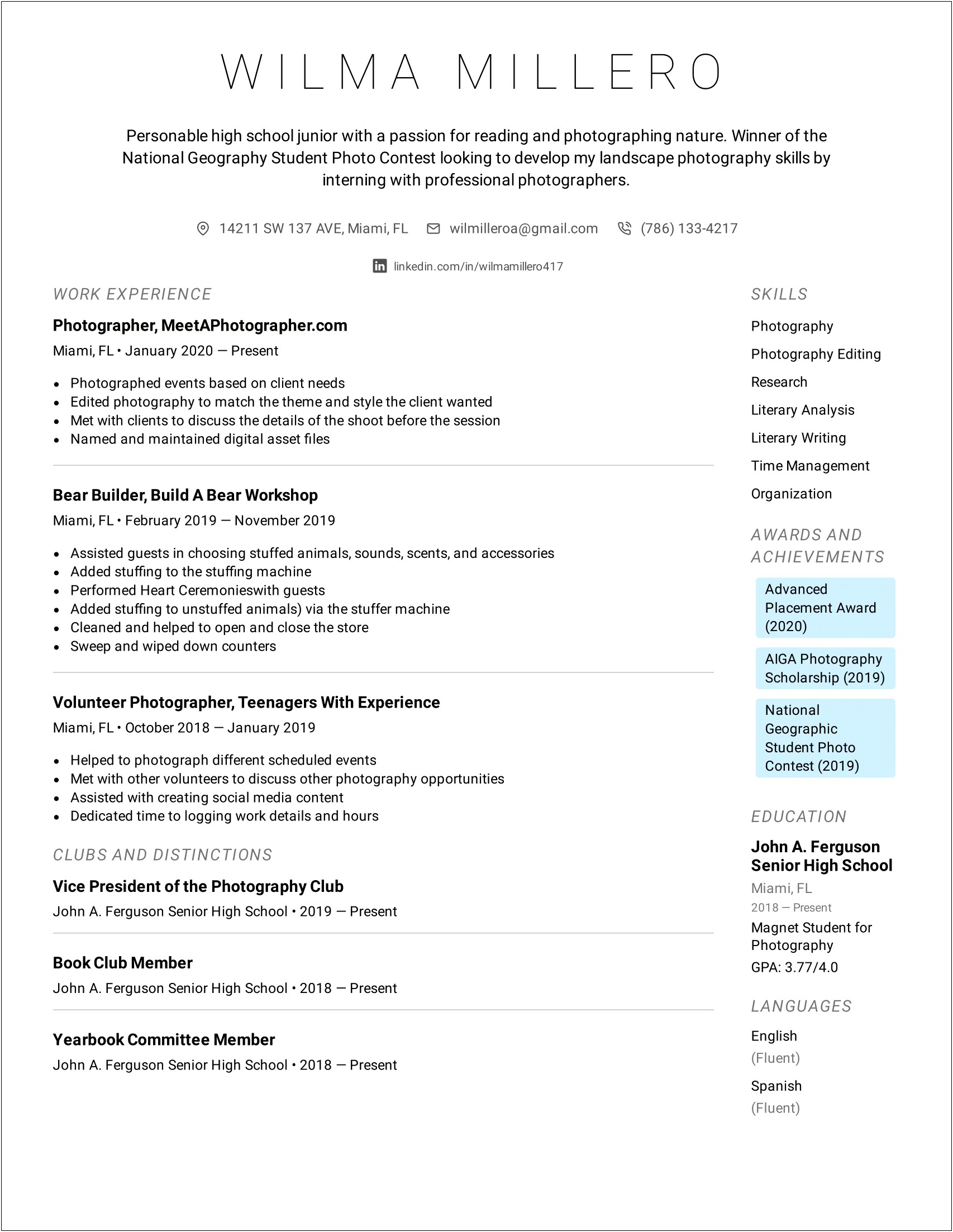 Examples Of Professional Resumes For High School Students
