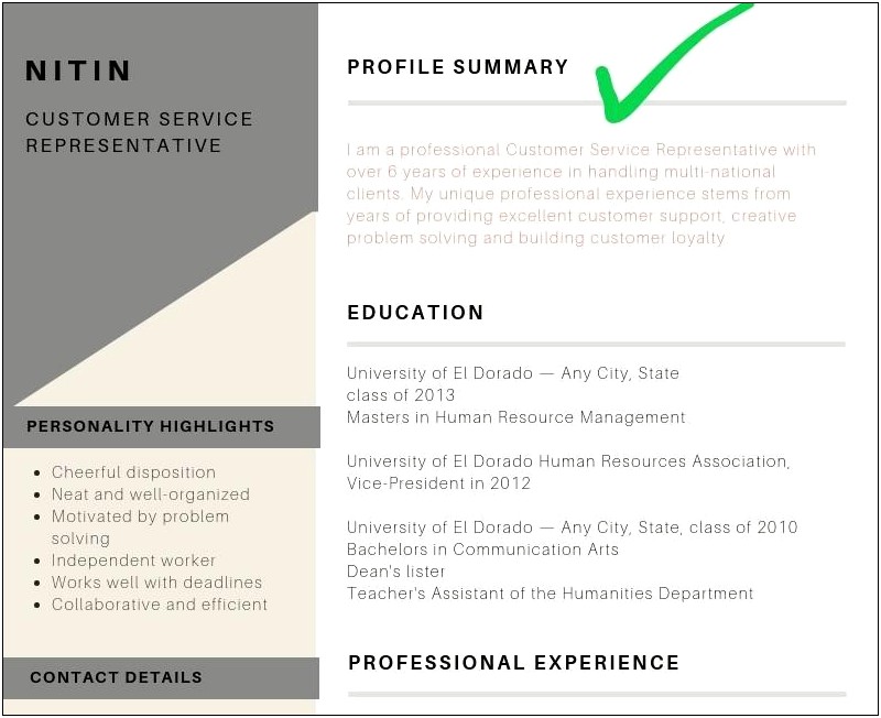 Examples Of Profile Title In Resume