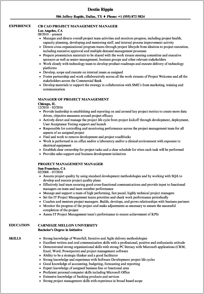 Examples Of Project Management Resume Objectives