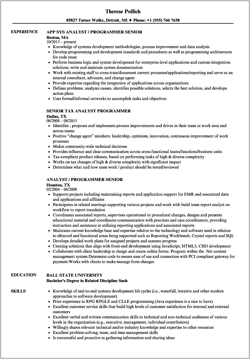 Examples Of Resume Summary For A Program Analyst