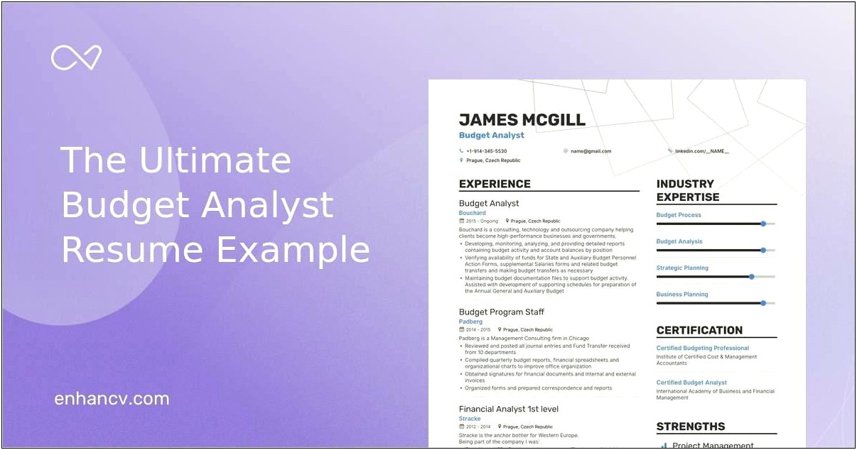 Examples Of Resumes For Budget Analyst