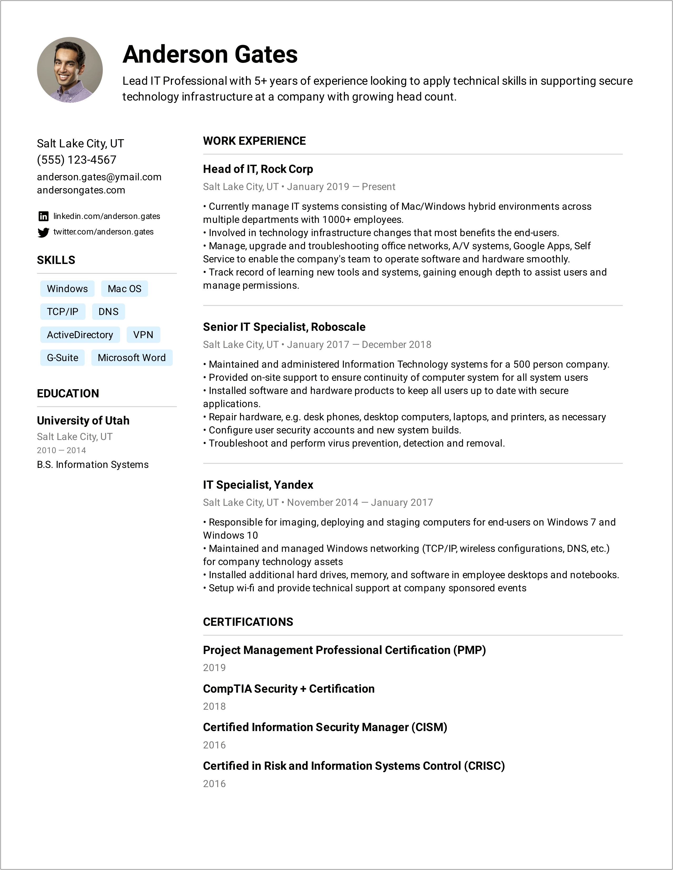 Examples Of Summary For Professional Resume