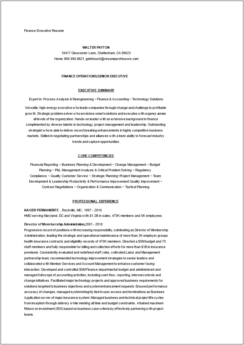 Executive Summary For A Business Resume
