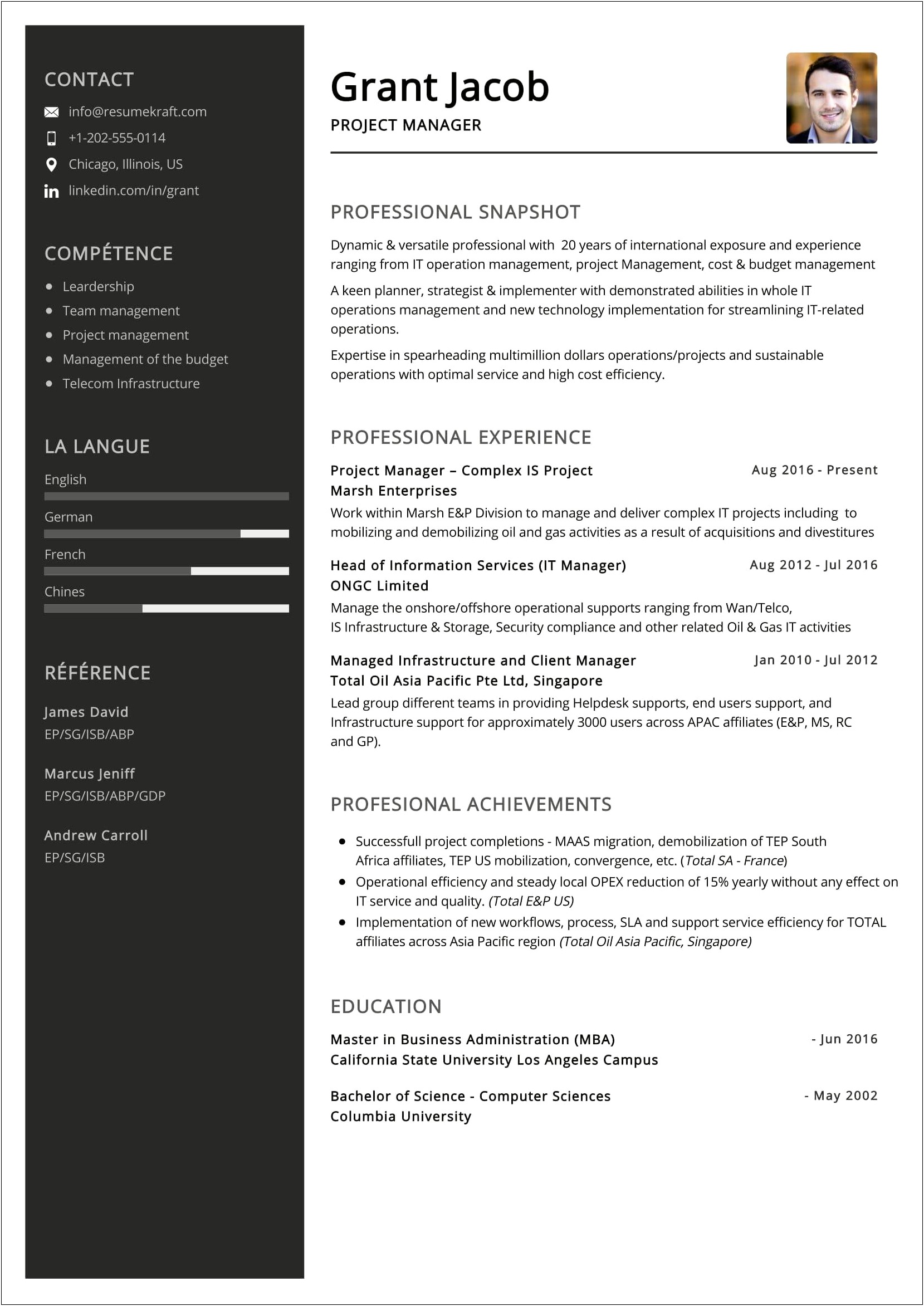 Executive Summary For A Project Manager Resume