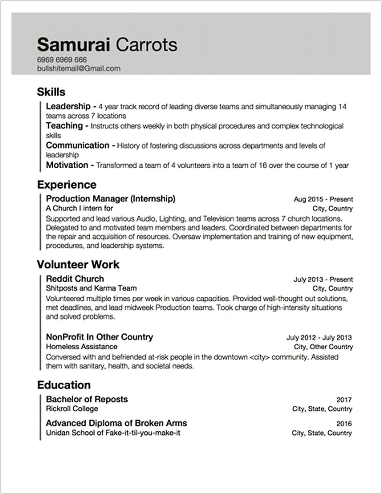 Fake 7 Year It Experience Resume