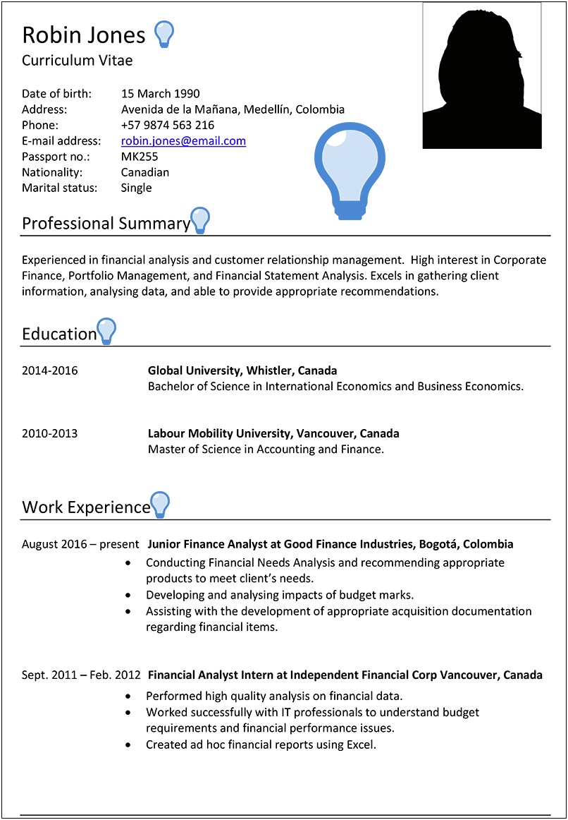 Financial Analyst Professional Summary On Resume