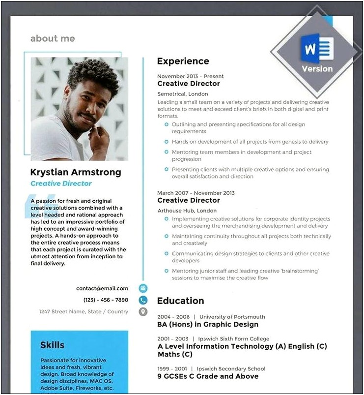 Free Director Of Information Technology Resume Templates