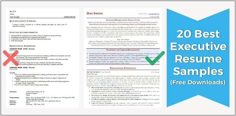 Free Download Resume Format For Sales Executive