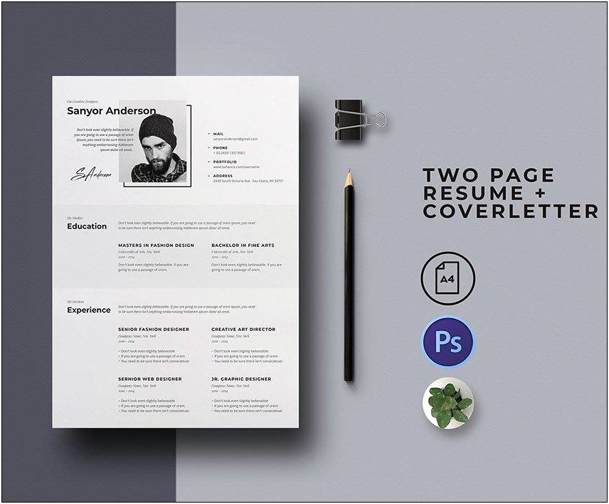 Free Graphic Designer Resume Format Download