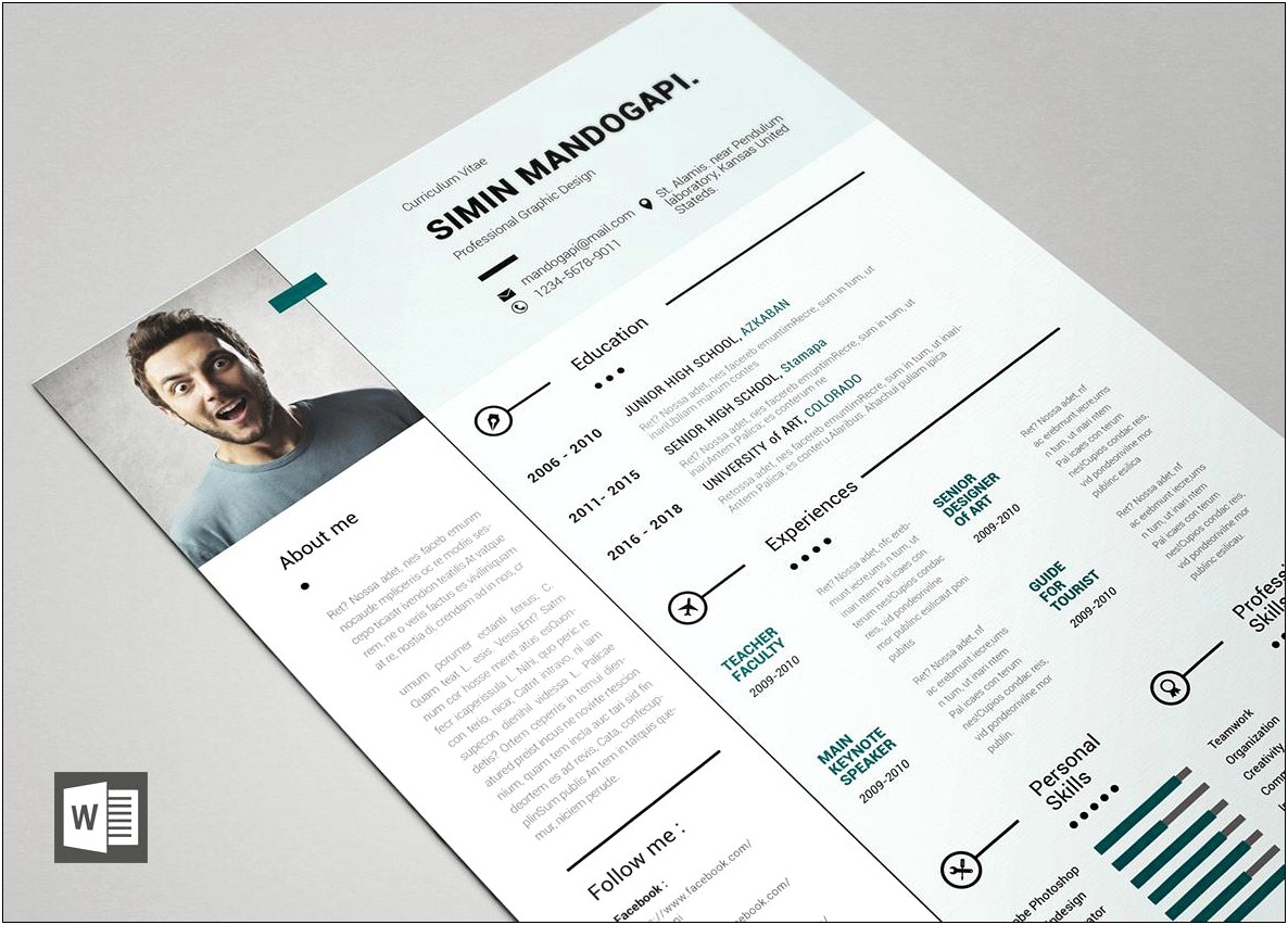 Free Modern Resume Copy And Paste