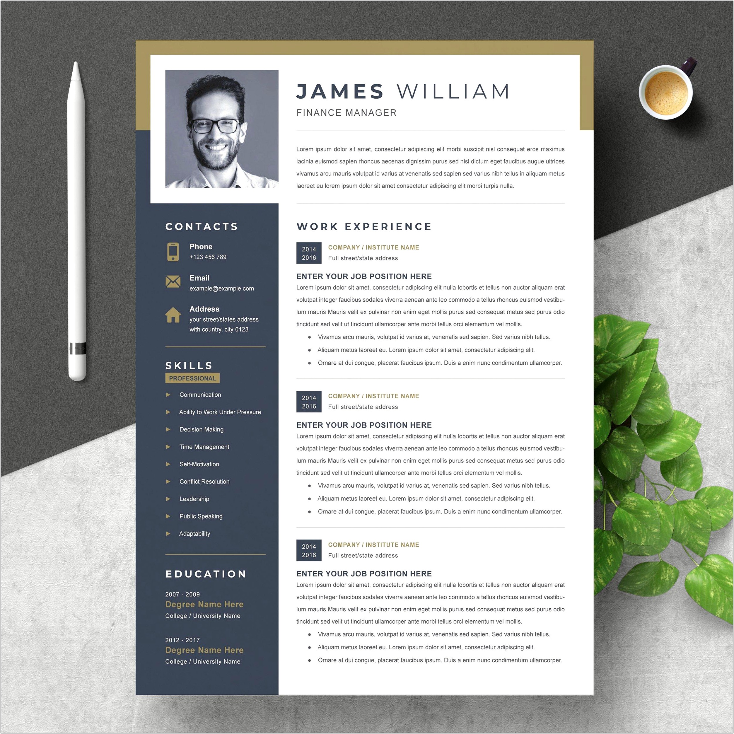Free Professional Resume Template Download Word