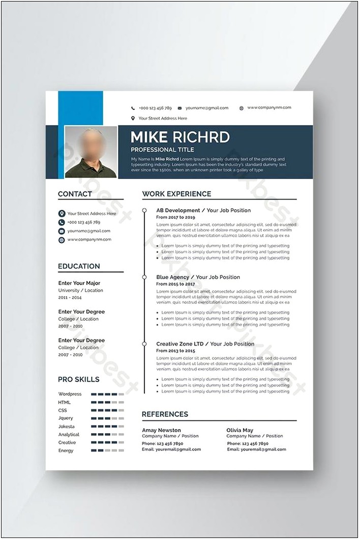 Free Professional Resume Templates Download 2019 Free