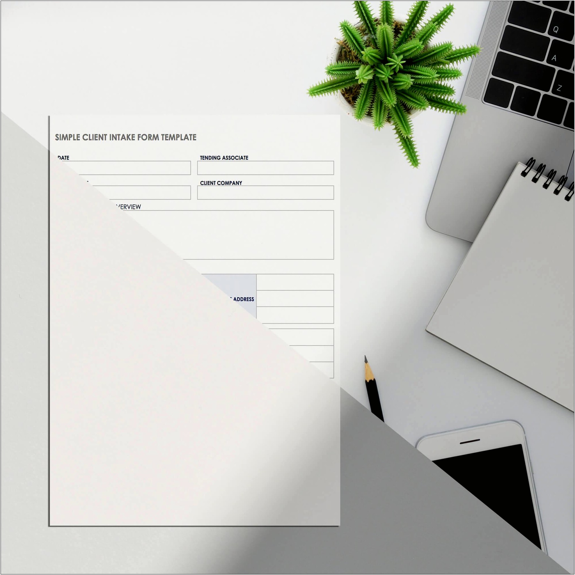 Free Resume Business Card And Folderportfolio Minimalist Mockup