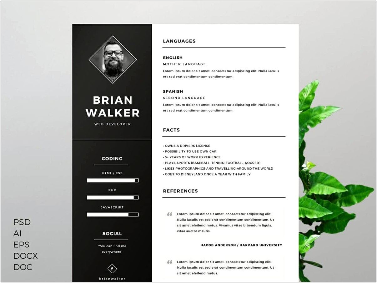 Free Resume Templates In Word Modern