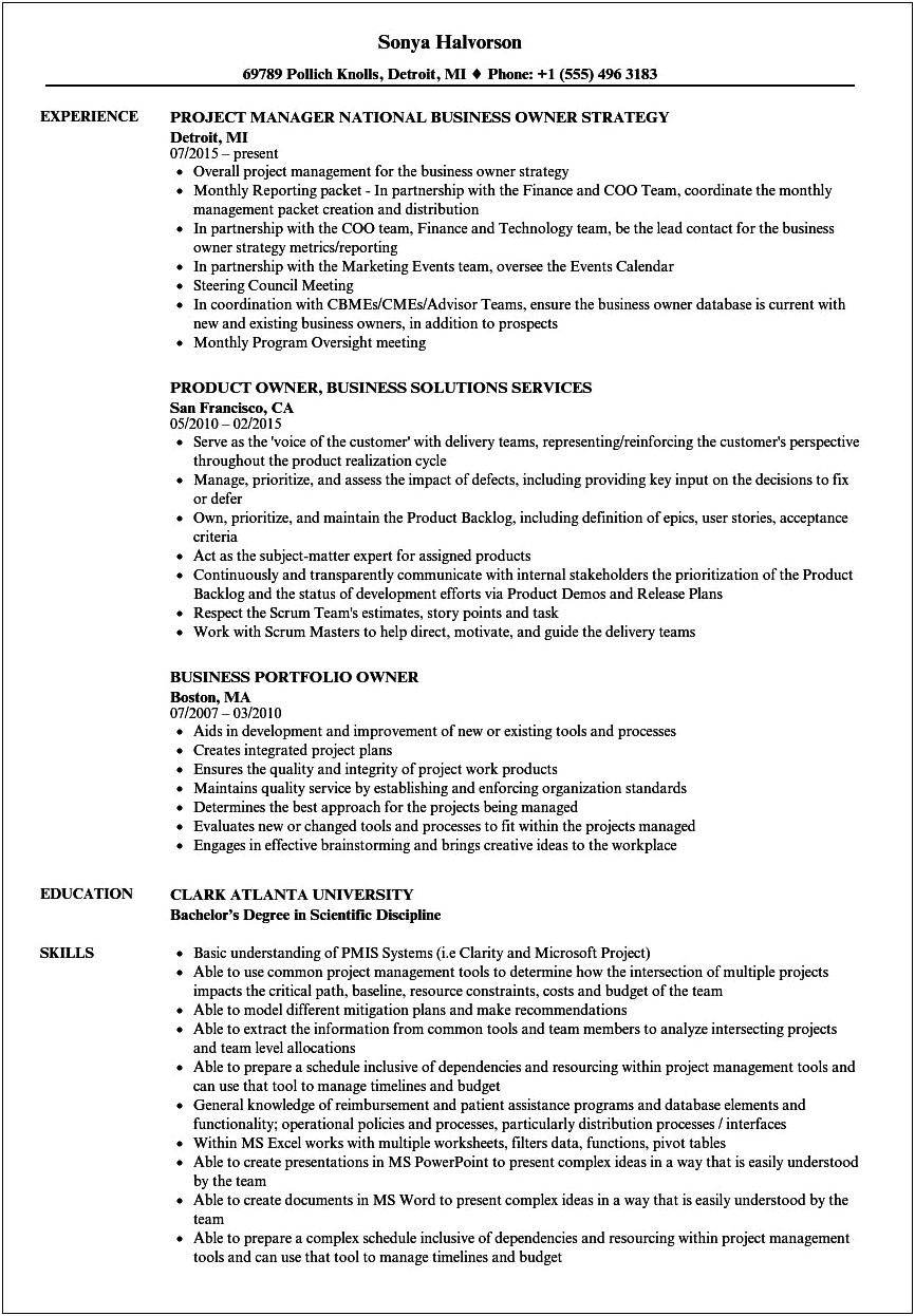 Free Sample Resume For Business Owner