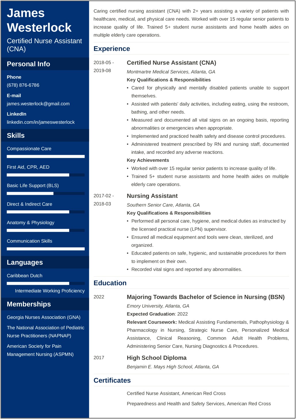 Free Sample Resume For Nursing Assistant