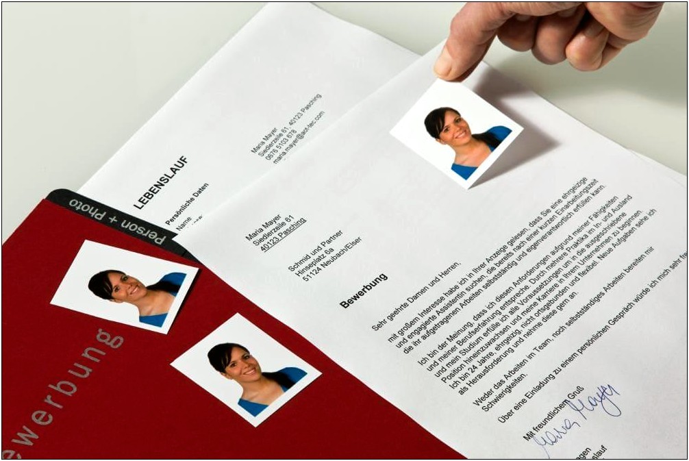 Free Template German Formatted Resumes Cv