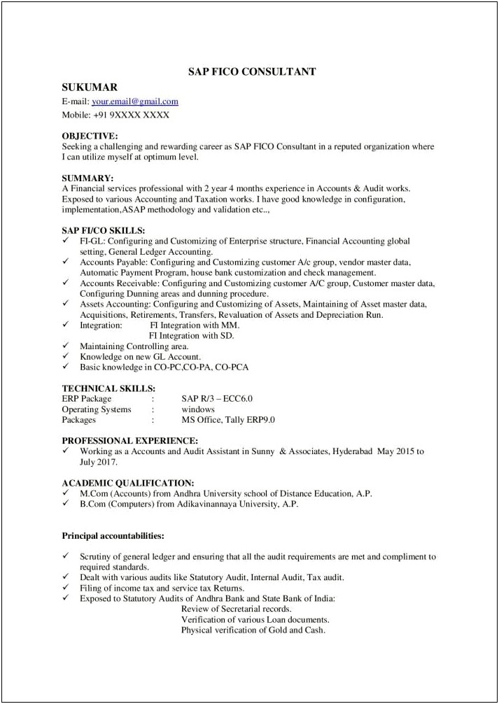 Fresher Accountant Resume Format In Word