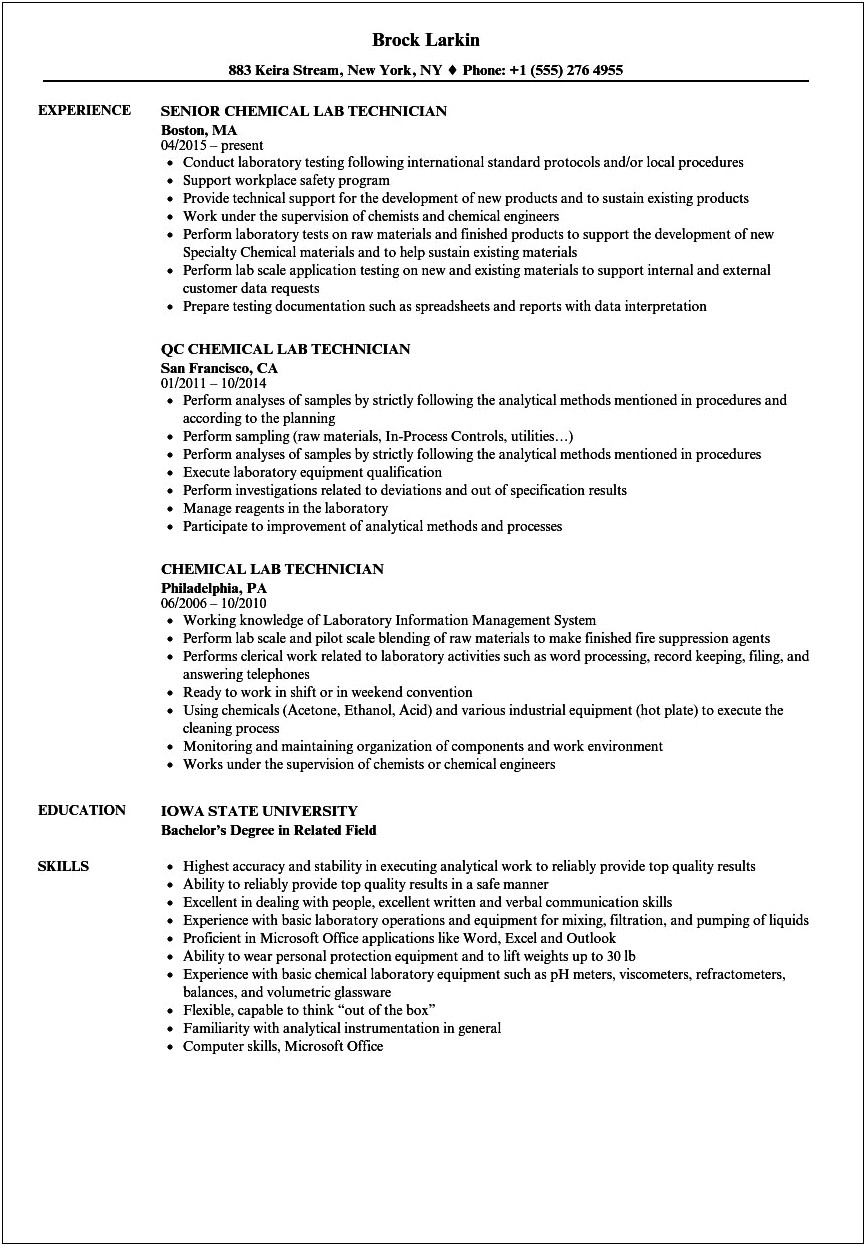 Functional Resume Example For Lab Assistant