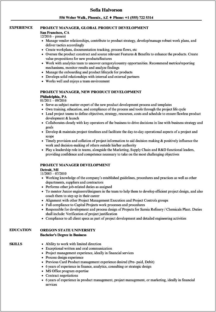 Functional Resume Example For Project Manager