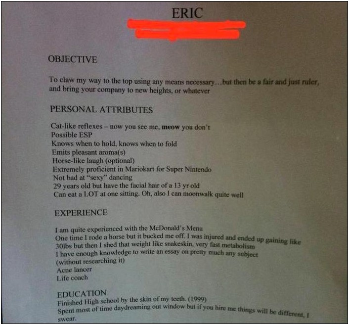 Funny Skills To Write On A Resume