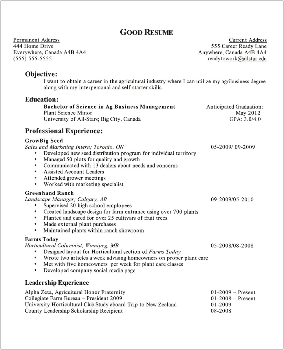General Resume Objective Examples High School Student