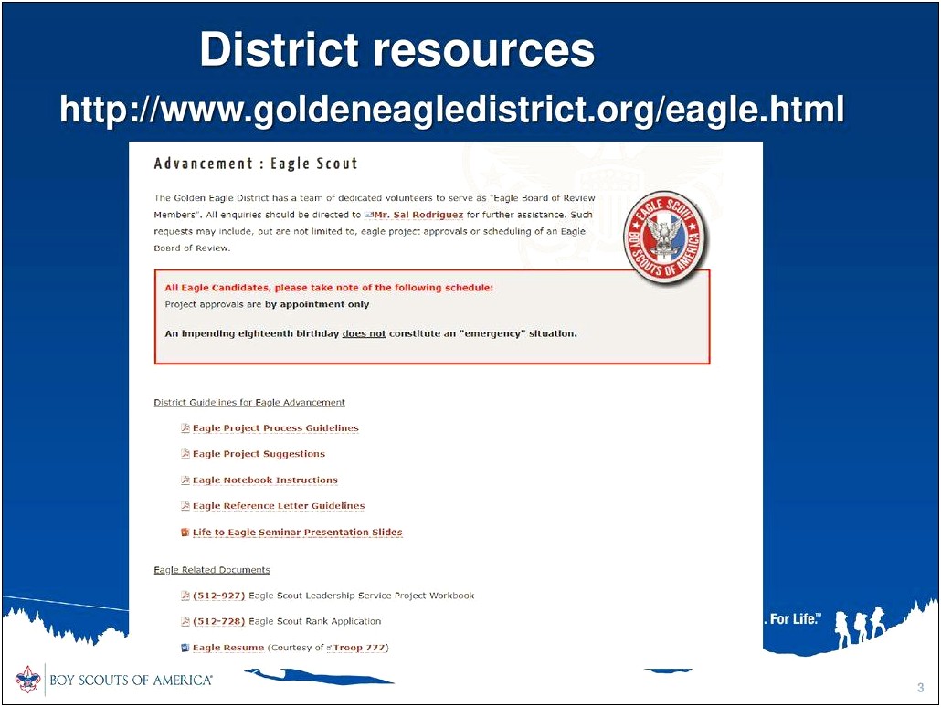 Golden Eagle District Eagle Scout Resume Template