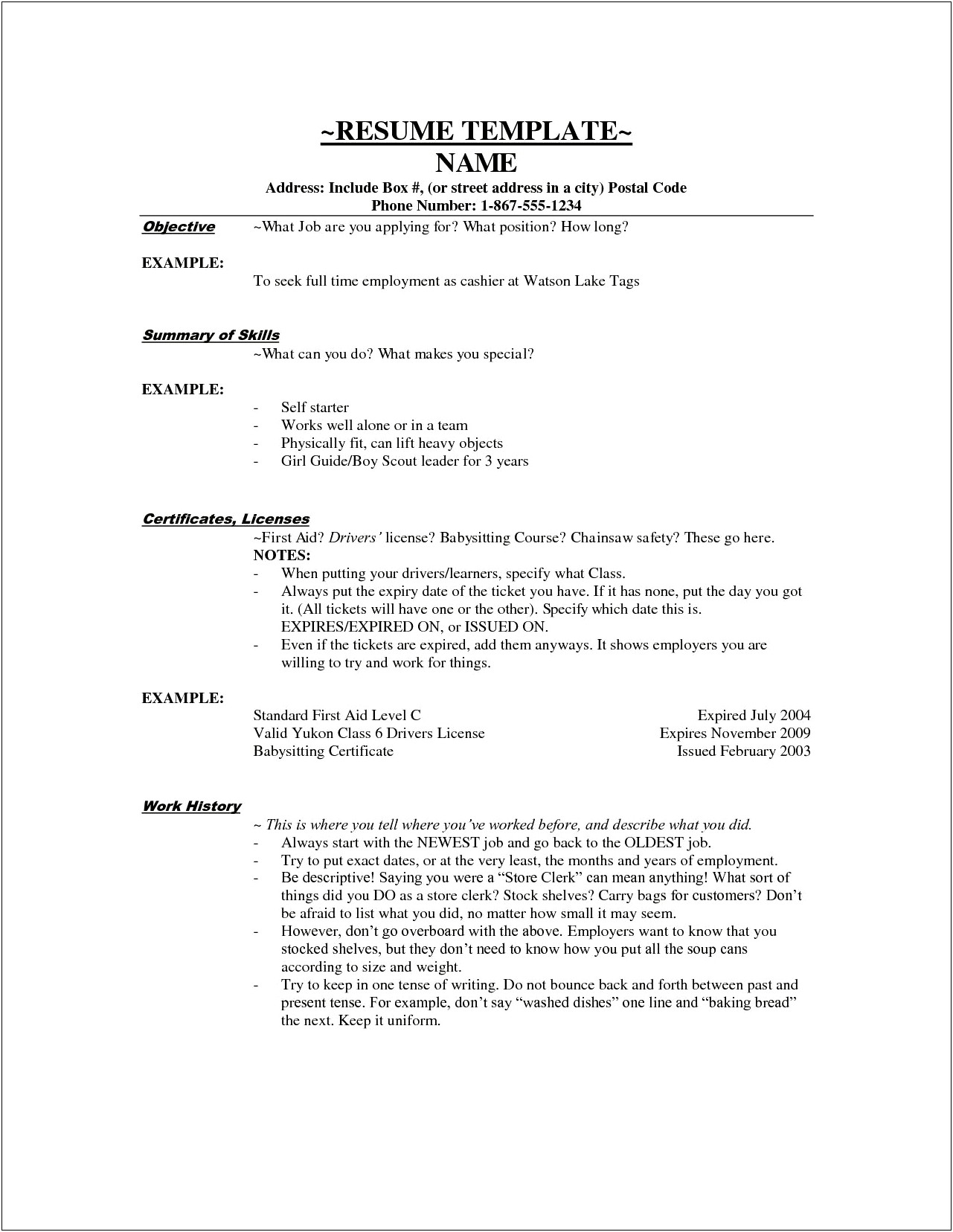 Good Resume For Cashier No Experience