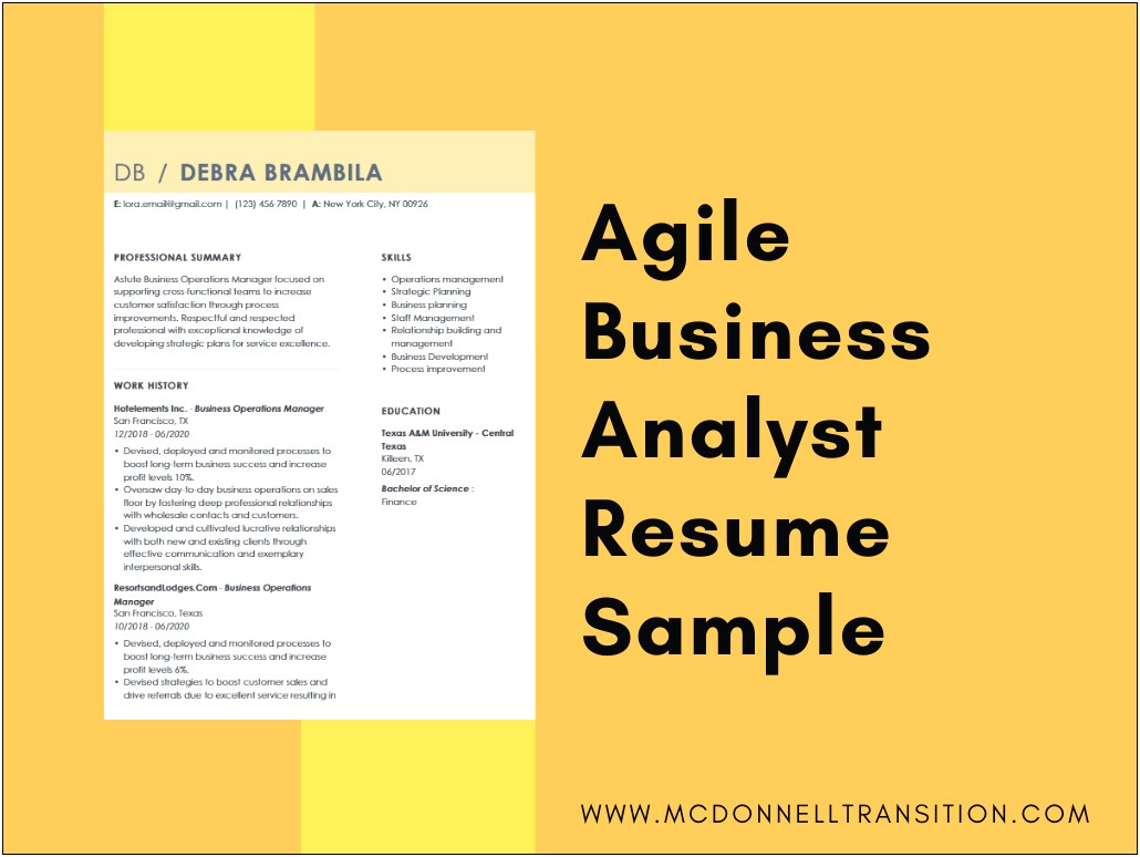Good Resume Format For Business Analyst