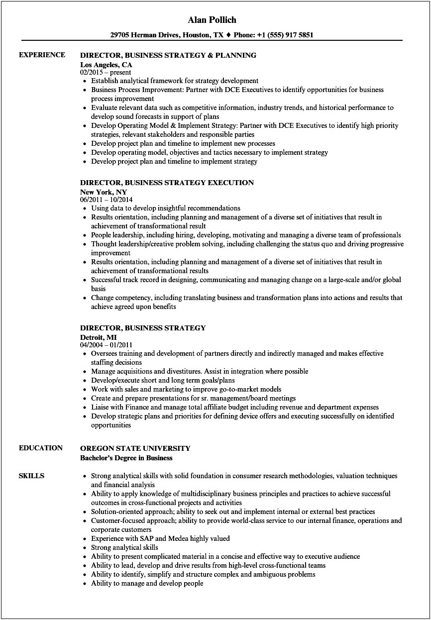Great Resume Examples Business Strategy Professionals
