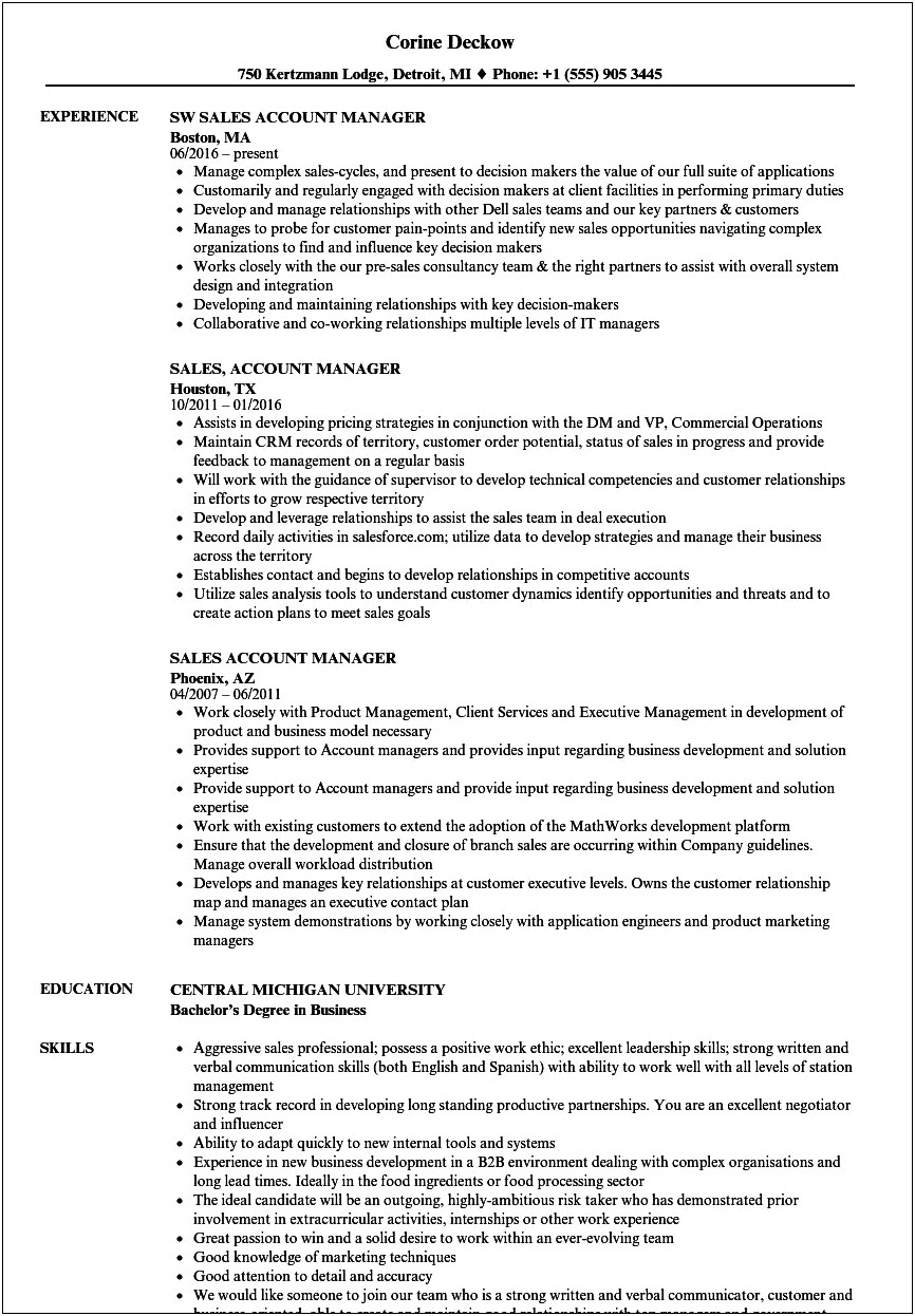 Great Resume Objectives For Account Manager