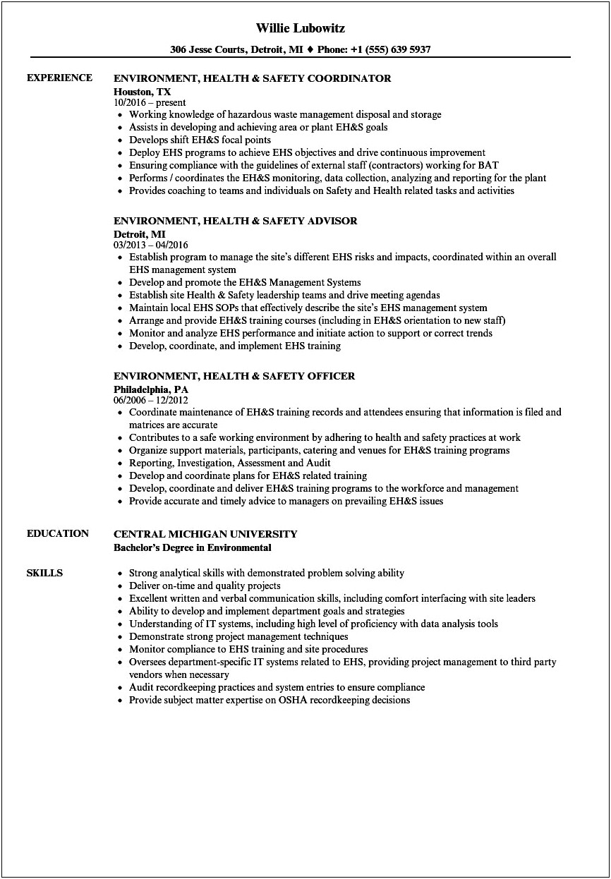 Health And Safety Officer Resume Examples