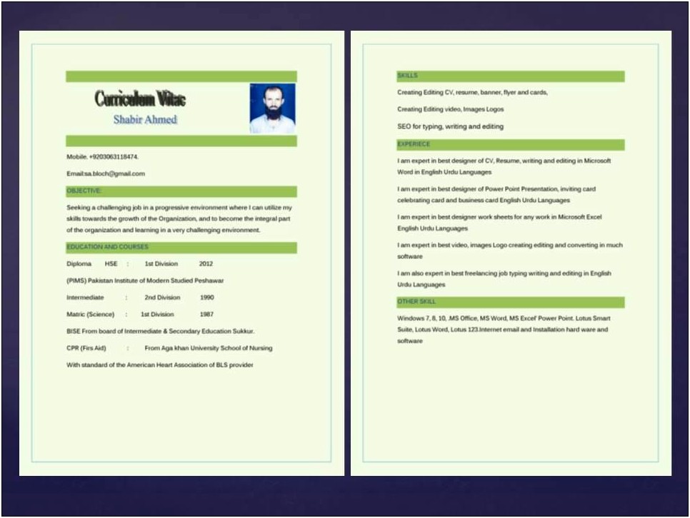 Hot To Make A Resume On Word