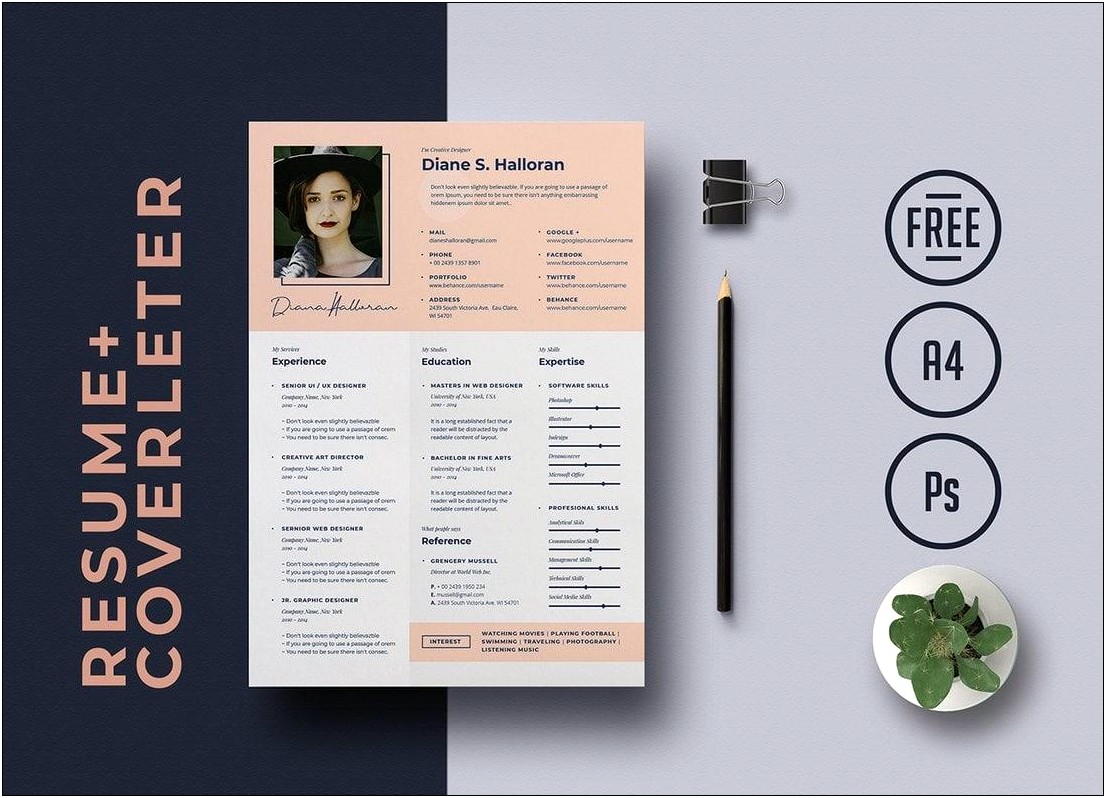 Infographic Resume Templates Free With Refernces Section