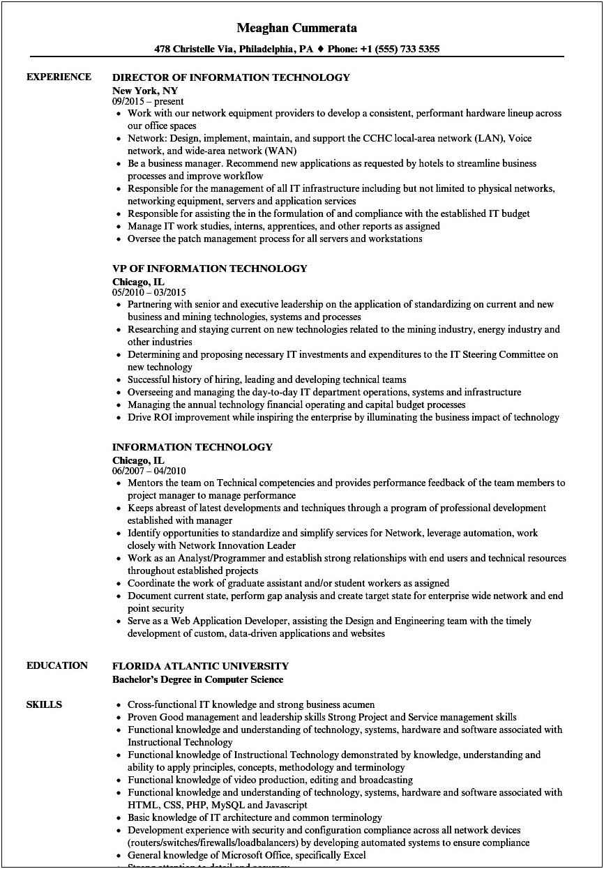 Information Technology Job Description For Resume