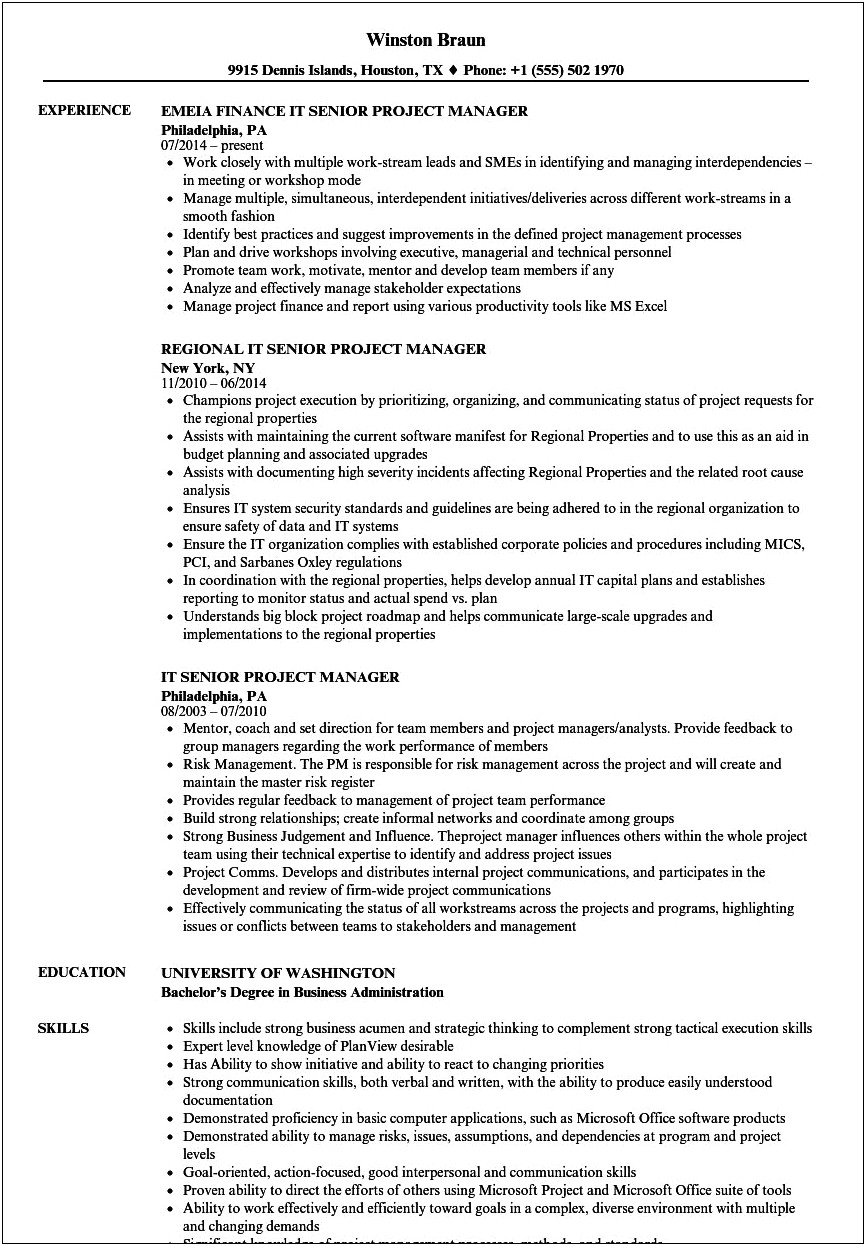Information Technology Project Manager Resume Sample