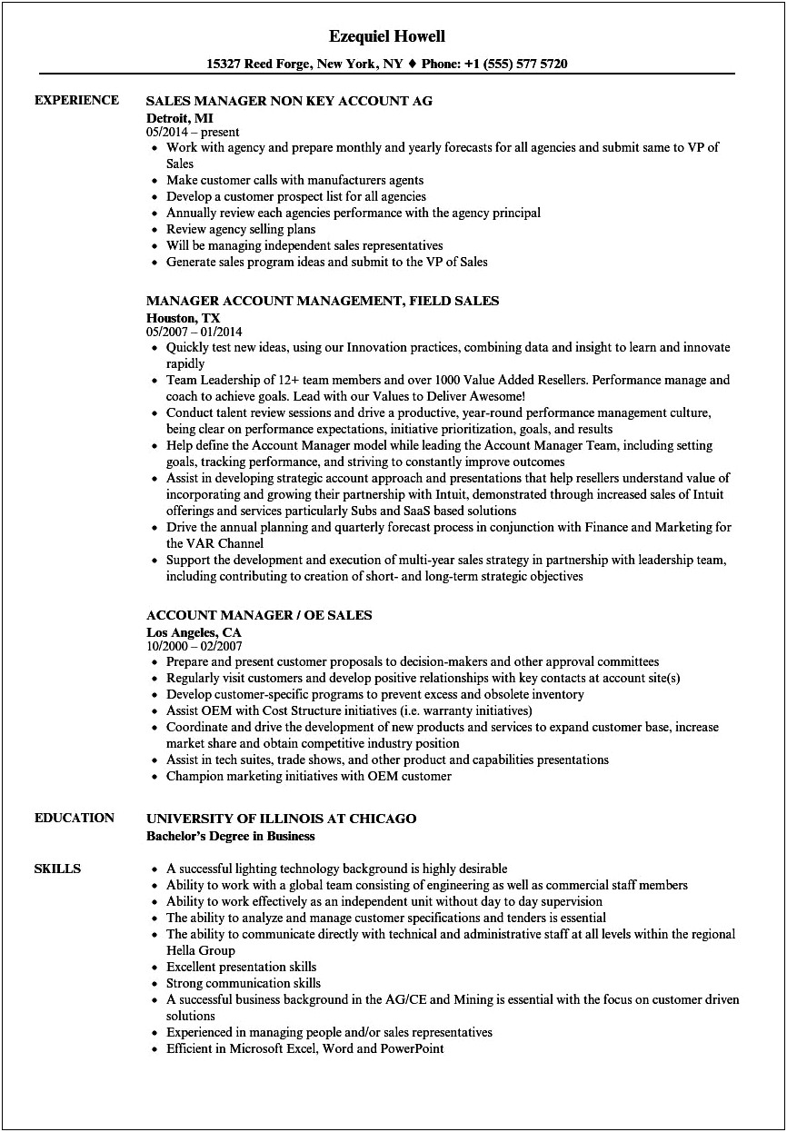 Inside Sales Account Manager Resume Template With Summary