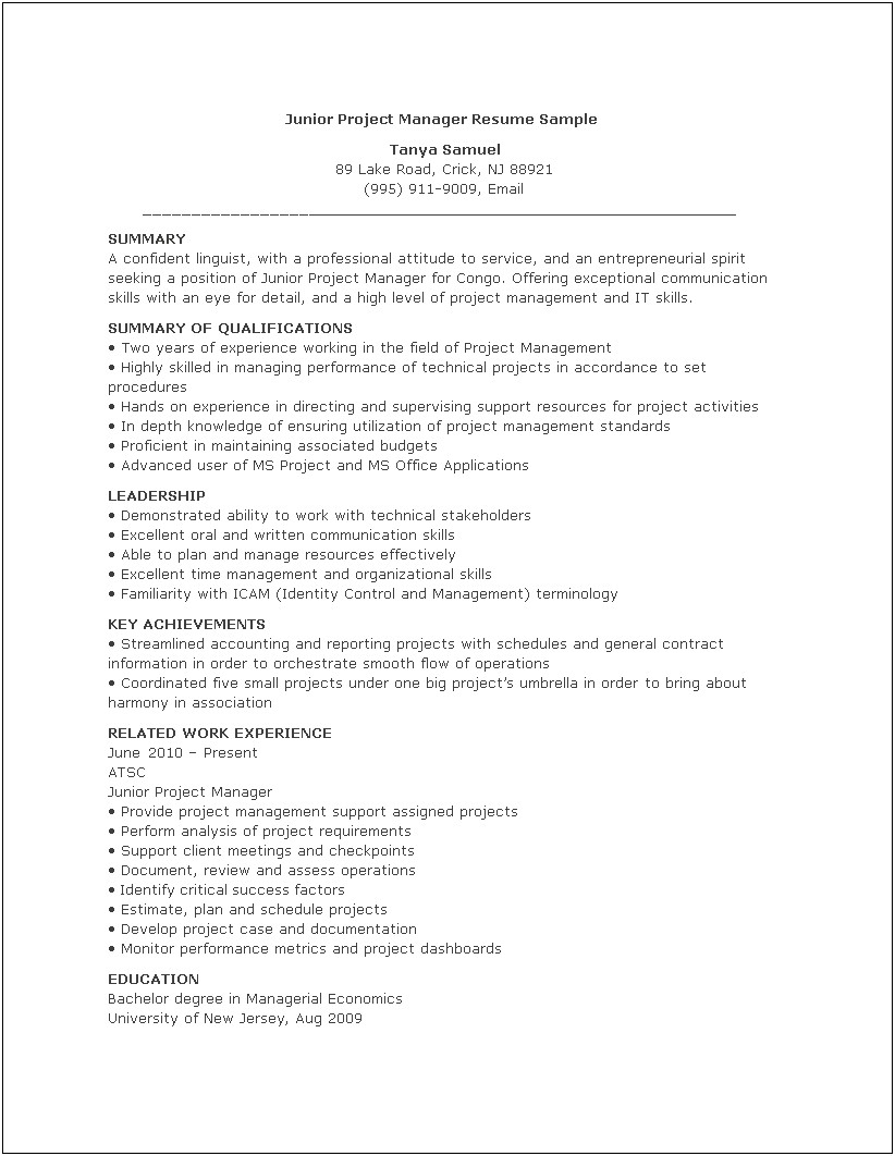 It Project Manager Resume Summary Mid Level