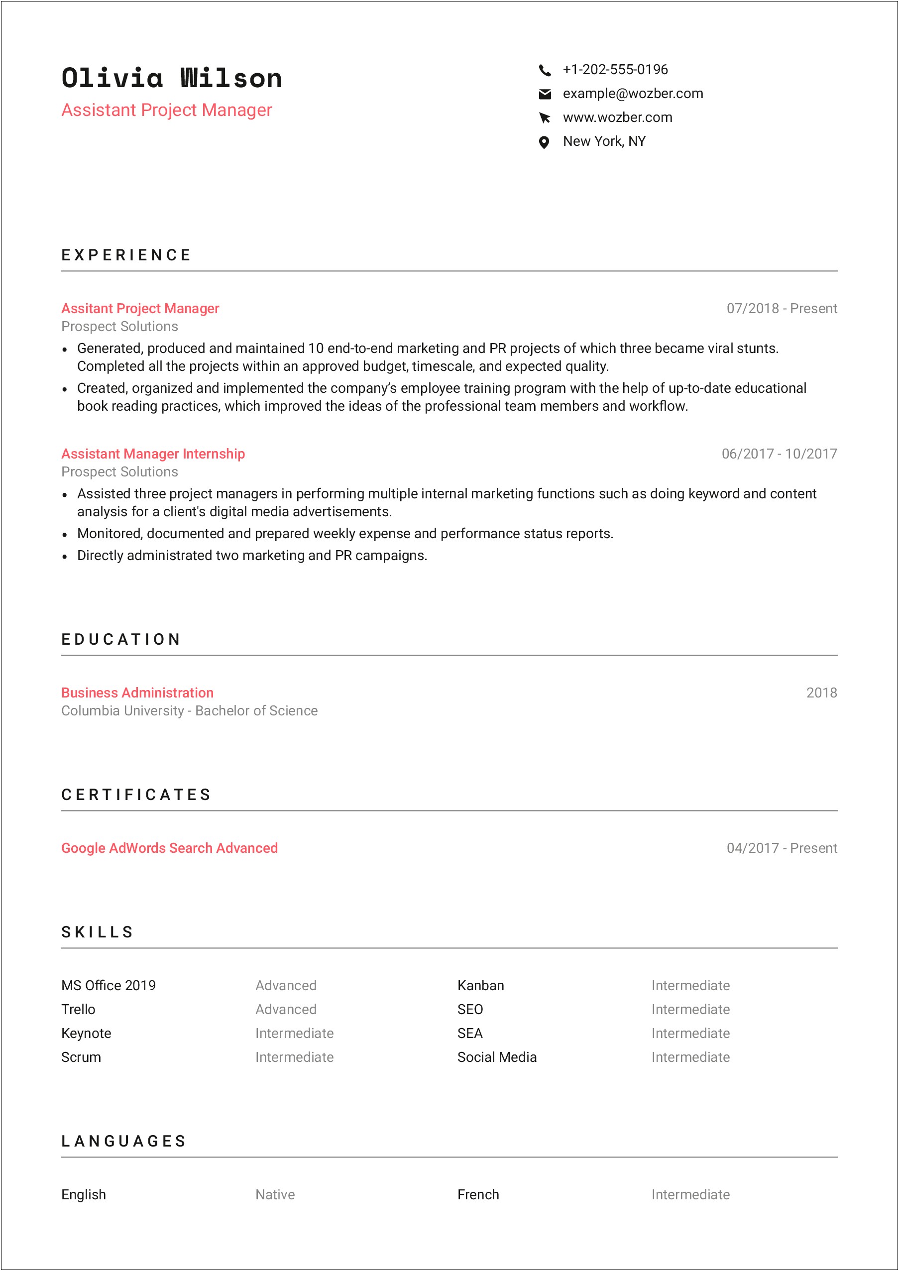 It Project Manager Resume Template Free Download