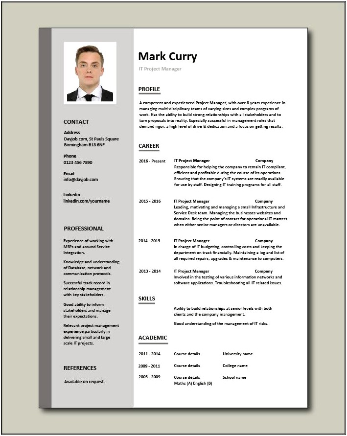 It Project Manager Resume Template Free