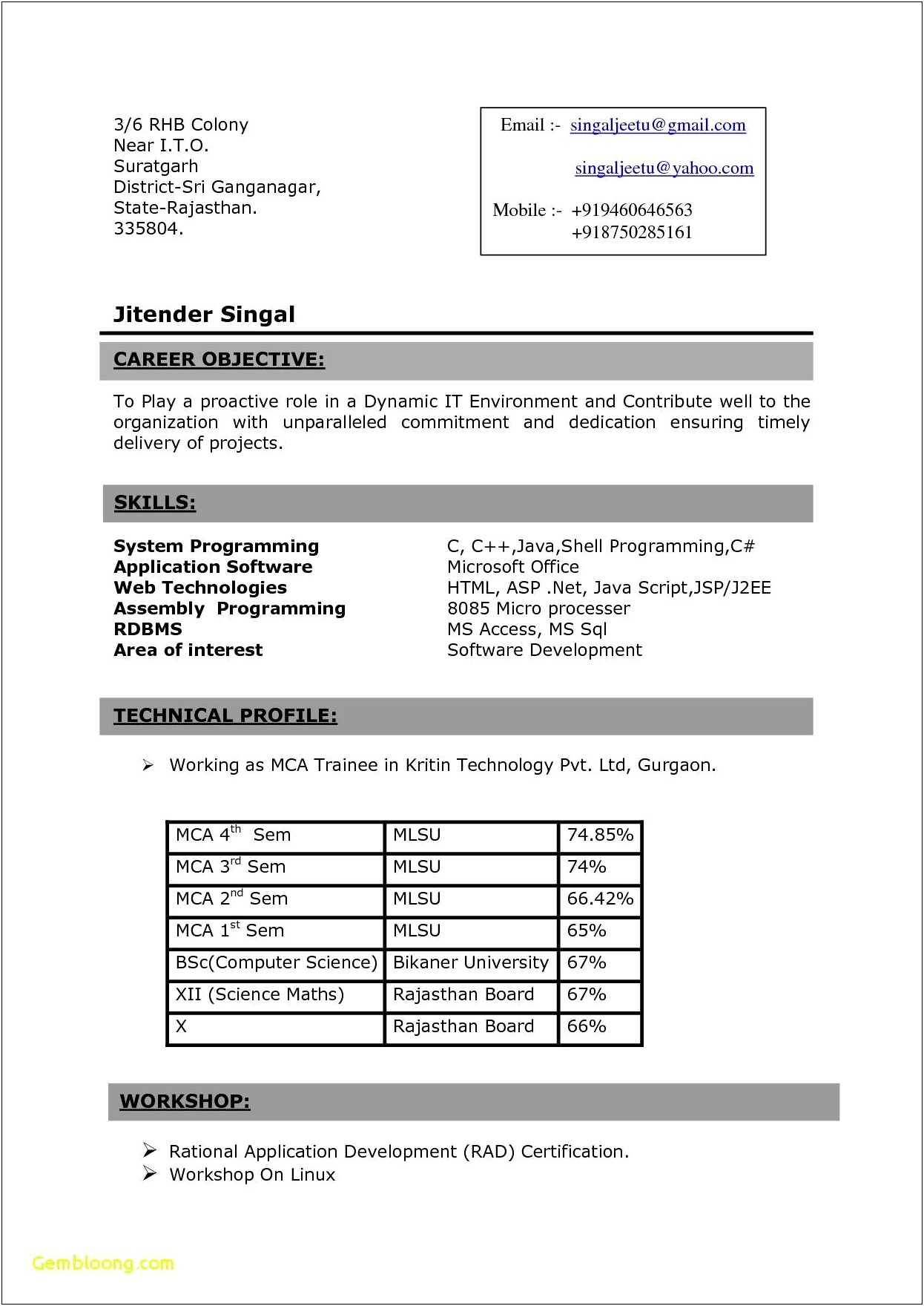 It Resume Sample Bachelor Of Science In Mathematics