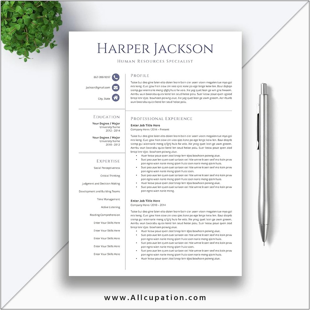 Job Application Resume And Cover Letter