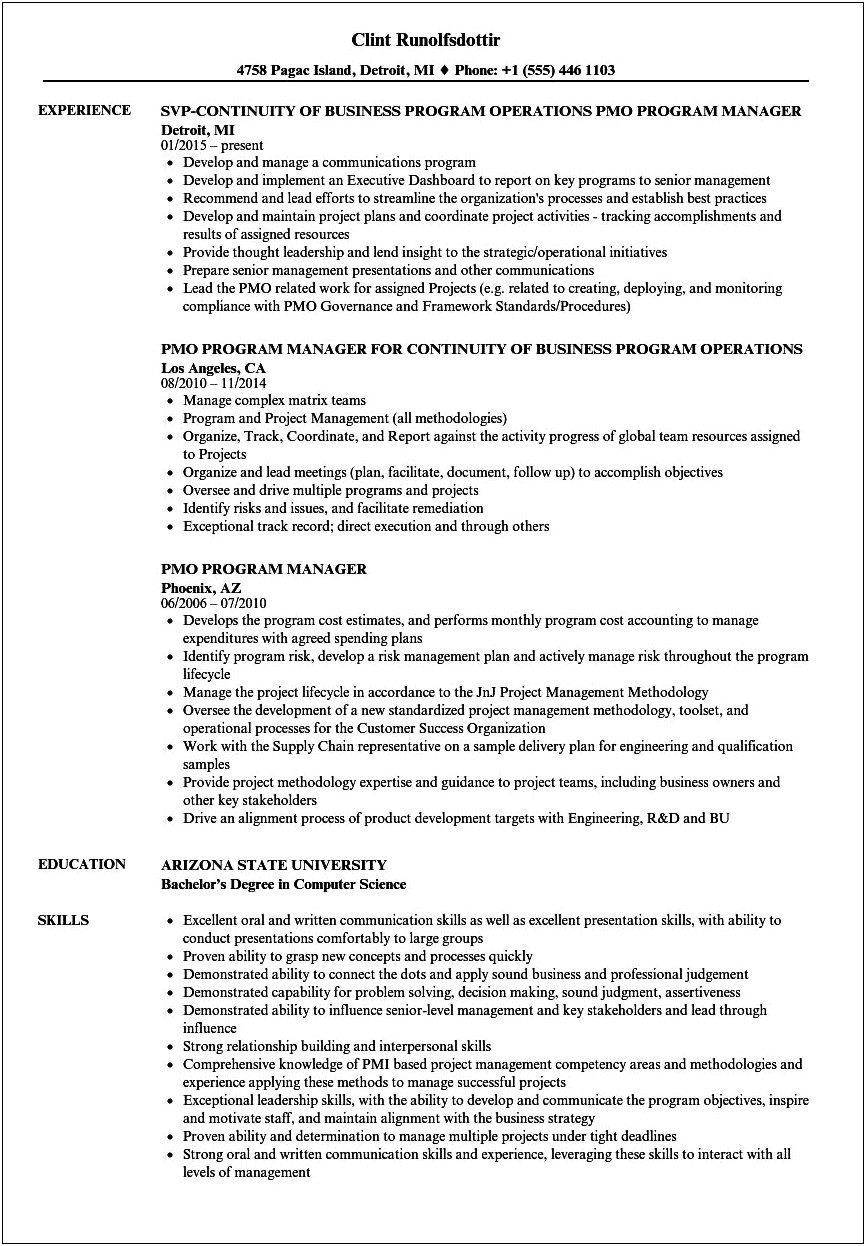 Job Description Head Of Pmo Resume