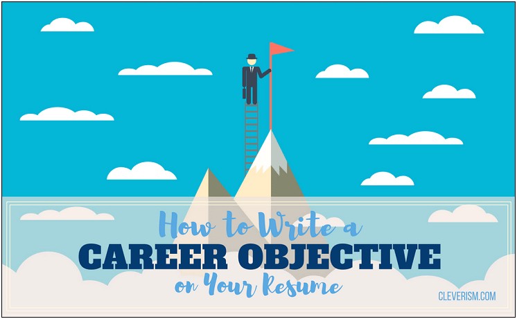 Job Resume Professional Summary Or Objective