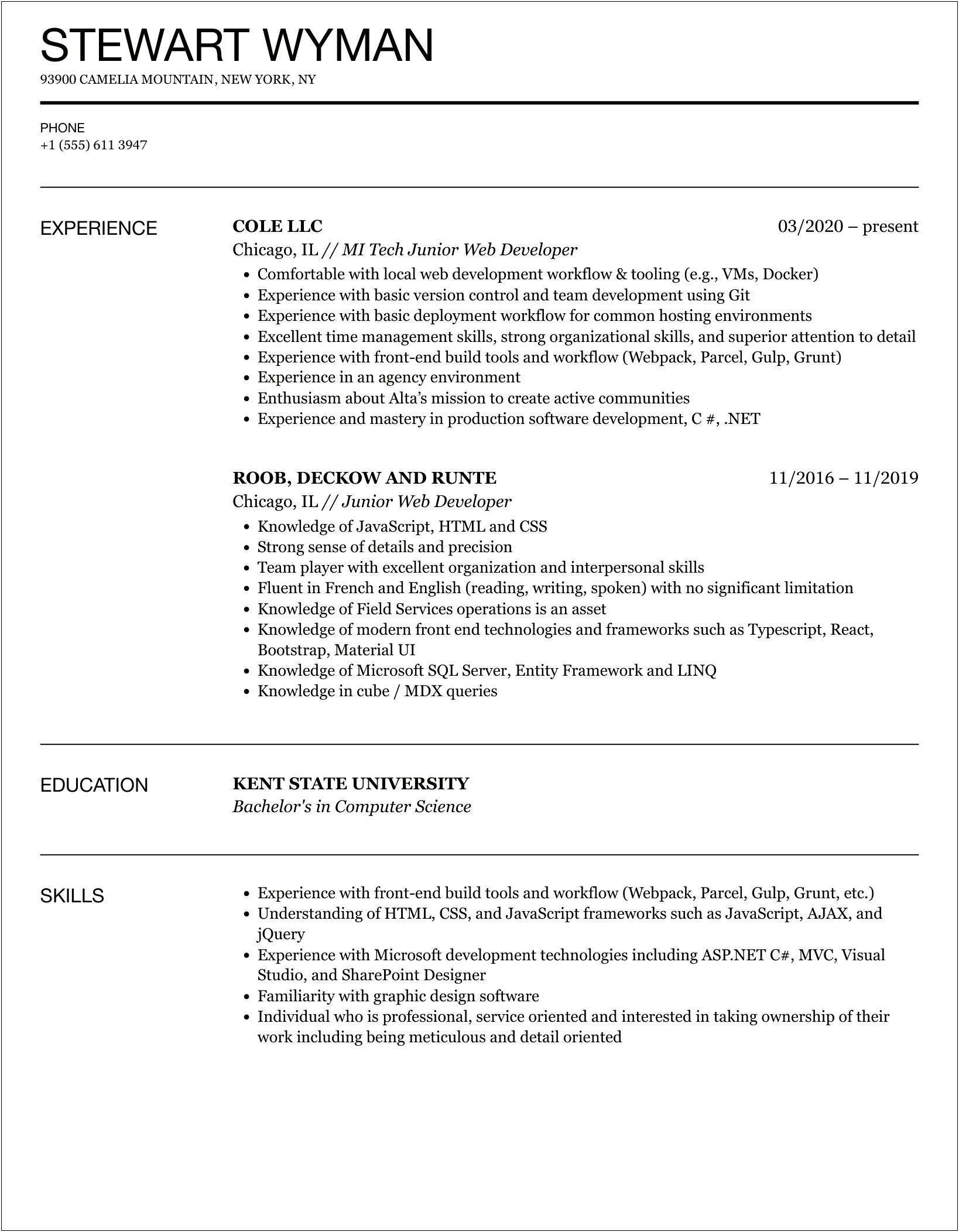 Junior Web Developer Resume Summary Examples