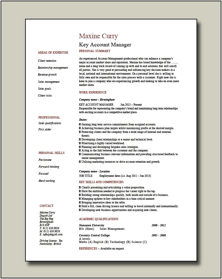 Key Account Manager Resume Summary Example