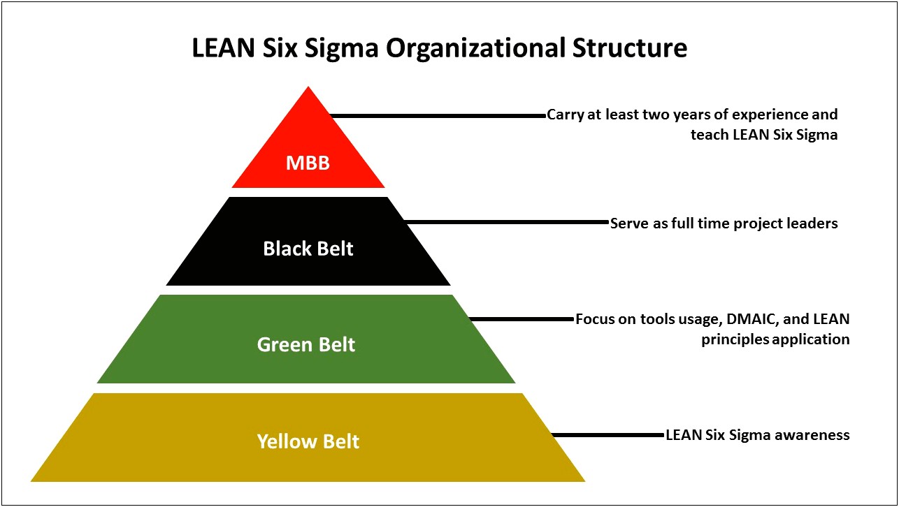 Lean Six Sigma Principles Resume Examples