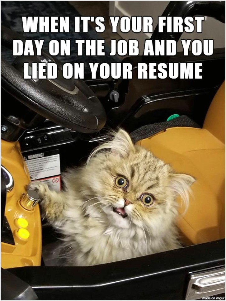 Lie On Your Resume About Working