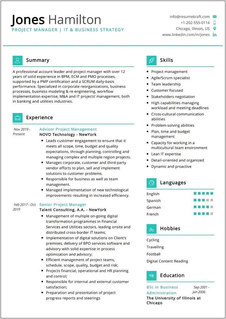 Linkedin Best Resume Samples For Digital Account Executive
