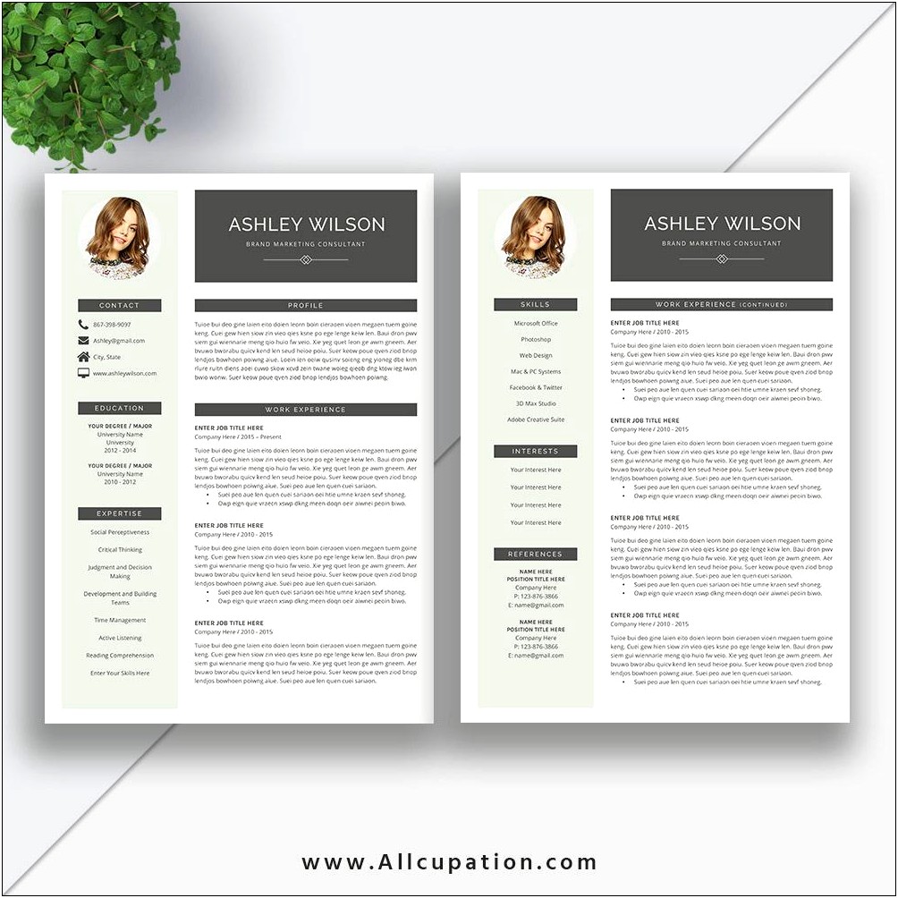 Microsoft Templates Resume And Cover Letters